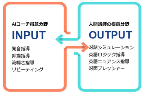 Input ＆ Output
